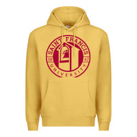 Antique Gold st. francis (pa) red flash Premium Hoodie - linhVisuals