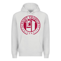 Dove Grey st. francis (pa) red flash Premium Hoodie - linhVisuals