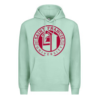 Seafoam st. francis (pa) red flash Premium Hoodie - linhVisuals