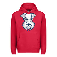 Cardinal st. francis brooklyn terriers Premium Hoodie - linhVisuals