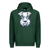 Sports Green st. francis brooklyn terriers Premium Hoodie - linhVisuals