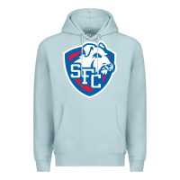 Blue Mist st. francis brooklyn terriers Premium Hoodie - linhVisuals