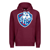 Burgundy st. francis brooklyn terriers Premium Hoodie - linhVisuals