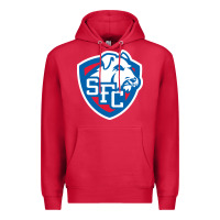 Cardinal st. francis brooklyn terriers Premium Hoodie - linhVisuals