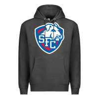 Charcoal Heather st. francis brooklyn terriers Premium Hoodie - linhVisuals
