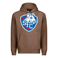 Chestnut st. francis brooklyn terriers Premium Hoodie - linhVisuals