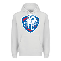 Dove Grey st. francis brooklyn terriers Premium Hoodie - linhVisuals