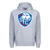 Heather Grey st. francis brooklyn terriers Premium Hoodie - linhVisuals