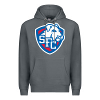 Rock st. francis brooklyn terriers Premium Hoodie - linhVisuals
