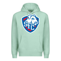 Seafoam st. francis brooklyn terriers Premium Hoodie - linhVisuals
