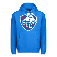St. Francis Brooklyn Terriers Premium Hoodie | Teevron