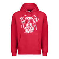 Cardinal border collie dog t  shirt border collie with sunglasses cool dog t  s Premium Hoodie - linhVisuals