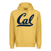 Antique Gold california Premium Hoodie - linhVisuals