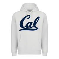 Dove Grey california Premium Hoodie - linhVisuals