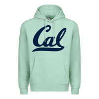 Seafoam california Premium Hoodie - linhVisuals
