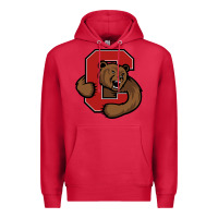 Cardinal cornell Premium Hoodie - linhVisuals