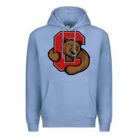 Colony Blue cornell Premium Hoodie - linhVisuals