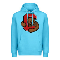 Ocean Blue cornell Premium Hoodie - linhVisuals