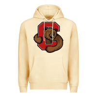 Cornell Premium Hoodie | Teevron
