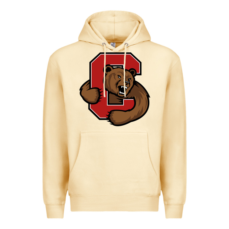 Cornell Premium Hoodie by linhVisuals | Teevron