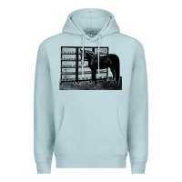 Blue Mist beautiful jim key  performing horse Premium Hoodie - linhVisuals