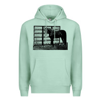 Seafoam beautiful jim key  performing horse Premium Hoodie - linhVisuals
