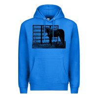 True Royal beautiful jim key  performing horse Premium Hoodie - linhVisuals