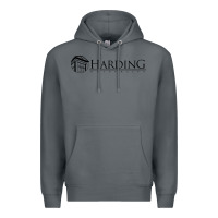 Rock Harding University Premium Hoodie - linhVisuals