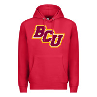 Cardinal bethune cookman Premium Hoodie - linhVisuals
