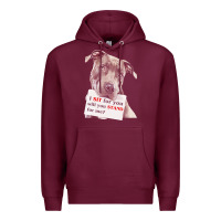 Burgundy pitbull t  shirt i sit for you will you stand for me t  shirt Premium Hoodie - linhVisuals