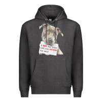 Charcoal Heather pitbull t  shirt i sit for you will you stand for me t  shirt Premium Hoodie - linhVisuals