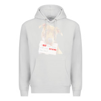 Dove Grey pitbull t  shirt i sit for you will you stand for me t  shirt Premium Hoodie - linhVisuals