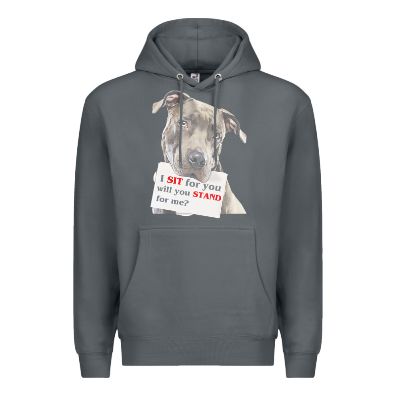 Pitbull T  Shirt I Sit For You Will You Stand For Me T  Shirt Premium Hoodie by linhVisuals | Teevron