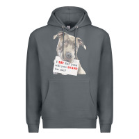 Rock pitbull t  shirt i sit for you will you stand for me t  shirt Premium Hoodie - linhVisuals