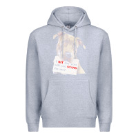 Heather Grey pitbull t  shirt i sit for you will you stand for me t  shirt Premium Hoodie - linhVisuals