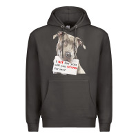 Smoke pitbull t  shirt i sit for you will you stand for me t  shirt Premium Hoodie - linhVisuals