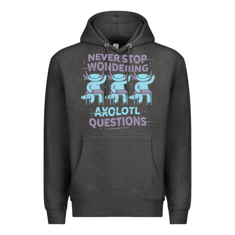Axolotl Questions Premium Hoodie by linhVisuals | Teevron