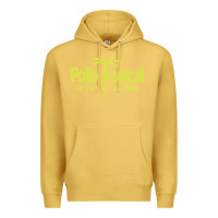 Antique Gold suitable-pollo-tropical-worn Premium Hoodie - linhVisuals