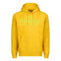 Lemon suitable-pollo-tropical-worn Premium Hoodie - linhVisuals