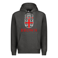 Charcoal Heather brown university Premium Hoodie - linhVisuals
