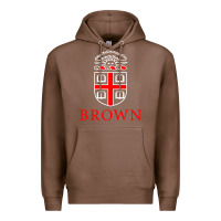 Chestnut brown university Premium Hoodie - linhVisuals