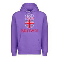 Purple brown university Premium Hoodie - linhVisuals
