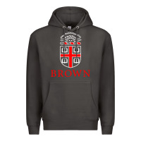 Smoke brown university Premium Hoodie - linhVisuals