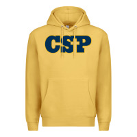 Antique Gold CSP, concordia university st paul, apparel Premium Hoodie - linhVisuals
