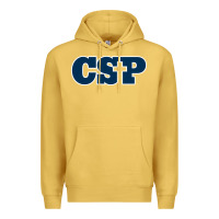 Antique Gold CSP, concordia university st paul, apparel Premium Hoodie - linhVisuals