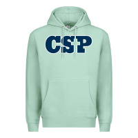 Seafoam CSP, concordia university st paul, apparel Premium Hoodie - linhVisuals