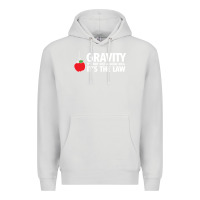 Dove Grey gravity, it's not just a good idea Premium Hoodie - linhVisuals