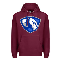 Burgundy eastern illinois panthers Premium Hoodie - linhVisuals