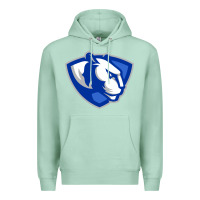 Seafoam eastern illinois panthers Premium Hoodie - linhVisuals