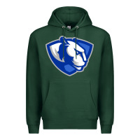Sports Green eastern illinois panthers Premium Hoodie - linhVisuals